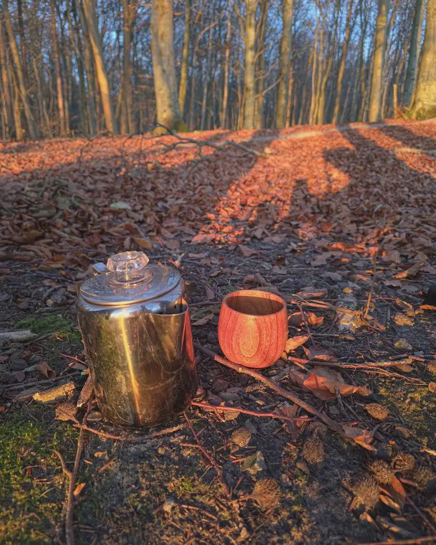 En kaffekande og et trækrus på skovbunden i lavt vintersollys.
