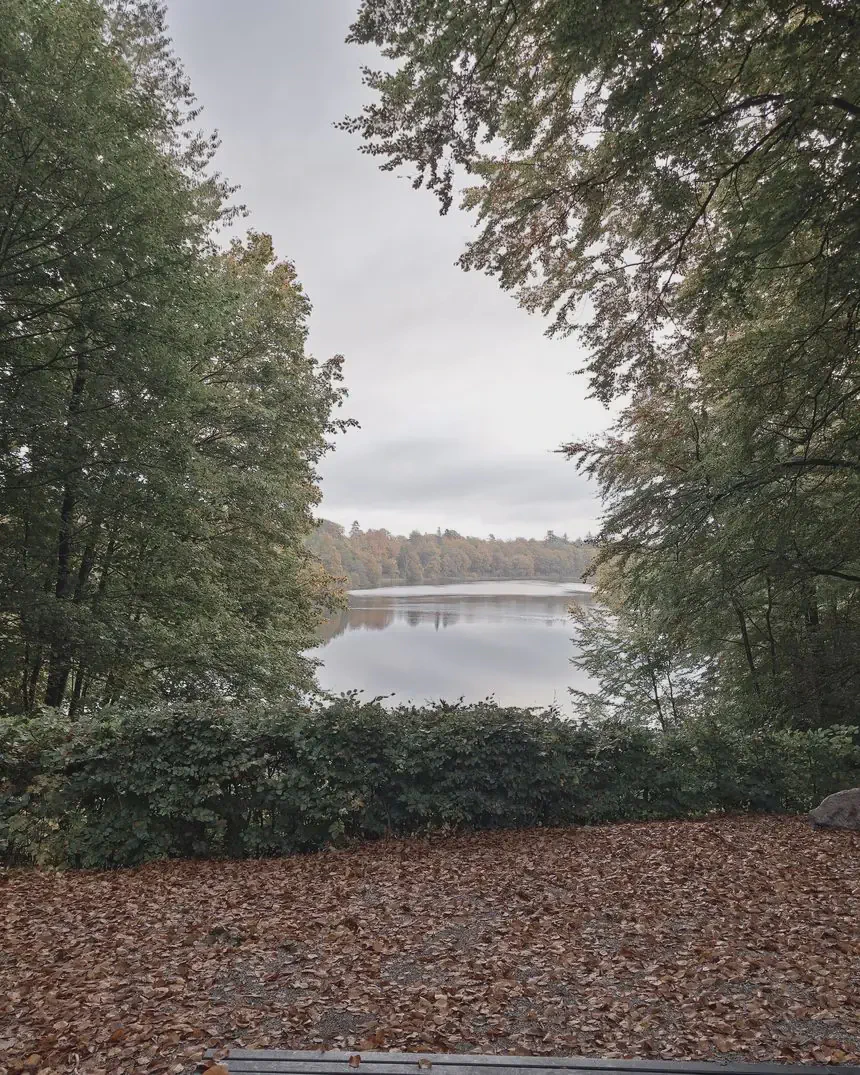 En skovsø i efterårsvejr, set mellem træer fra bredden.